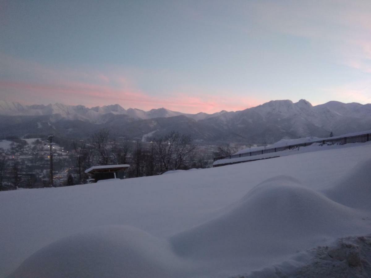 Janickowa Ostoja Apartamento Zakopane Exterior foto